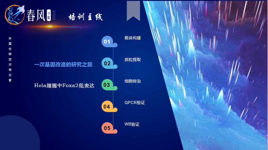 【春風學(xué)院】2023年全國生物醫(yī)學(xué)分子細胞實驗技術(shù)特訓(xùn)營開班！為期5天